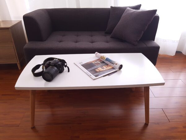 Sofa đôi 5019-2P